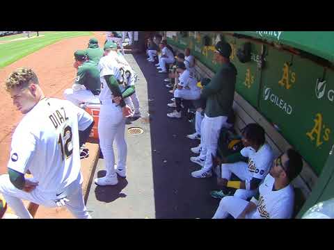 Ramón Laureano is ejected from the game