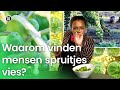 Waarom vinden veel mensen spruitjes vies? | Waarom? Daarom!
