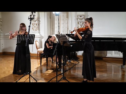 Trio Amoroso (Chamber Music Festival Novi Sad 2019)