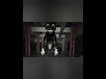 Cartoon Cat Cartoon Dog With Cartoon Cat Music