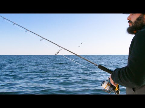 Trevala B Rod from Shimano | Field Test Favorite