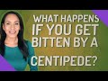 What Happens If You Get Bitten By A Centipede