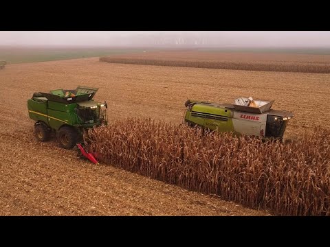 Sklizeň Kukuřice na Zrno 2022 | John Deere S680i & Class Lexion 770 Terra Trac