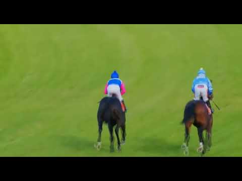 GEM KING - WORLD SPORTS BETTING LEGAL EAGLE STAKES (Grade 3)