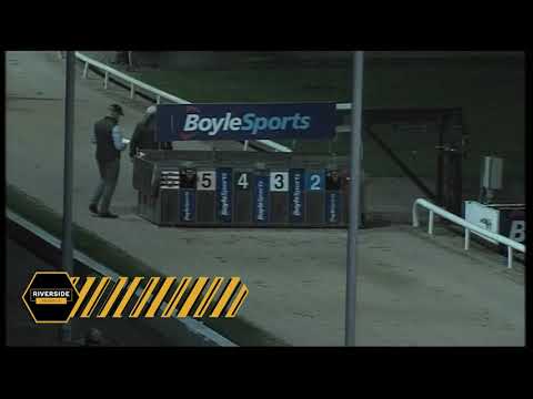 Ballyhimikin Jet - The Michael Fortune Memorial Derby Plate Round 2