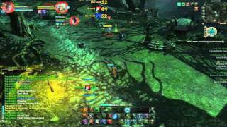 ♛ RIFT: Level 32 Warlock Gameplay -- rift pve mage gameplay