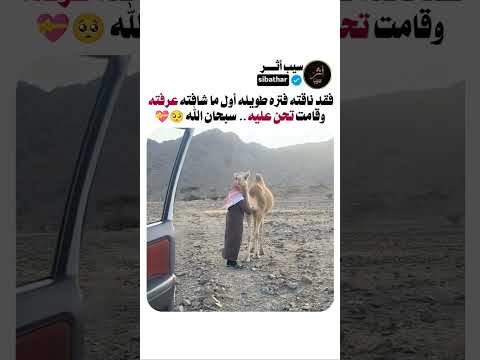 سبحان الله العظيم 🥺💝