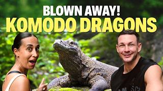 Is Komodo Island Worth the Trip from Bali?