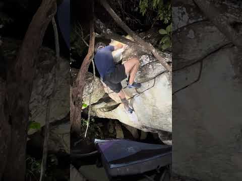 Florestinha V4 - Cocalzinho de Goiás