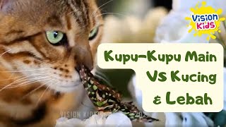 Download lagu VIRAL! Kupu-kupu PALING lucu | Lagu Kupu-Kupu mp3 Download lagu VIRAL! Kupu-kupu PALING lucu | Lagu Kupu-Kupu mp3