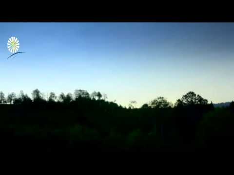 ¿Que milagros hizo el Profeta Mohammad La Particion de la Luna (5) Reportaje Conoce el Islam