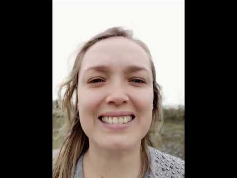 Los Esteros del Iberá