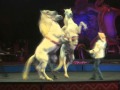 Ringling Brothers And Barnum Bailey Funundrum Comes To The Q