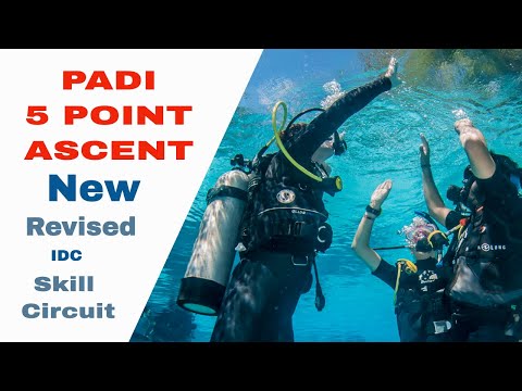 5 Point Ascent Scuba 👍 New Revised PADI IDC Skills Circuit • Divemaster Skills
