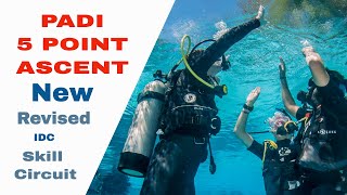 5 Point Ascent Scuba | PADI Divemaster and IDC Skill Circuit