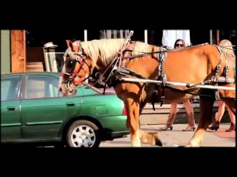 Thats Life Entertainment Nashville Show Intro 2016