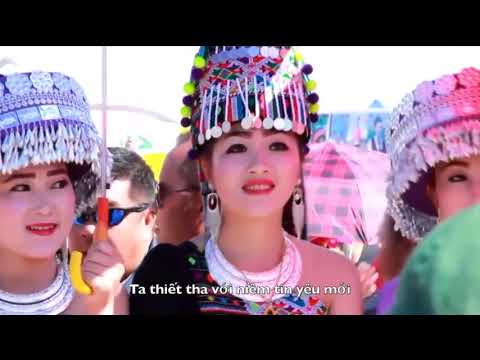 Nắng xuân tình nồng Cao Nguyên - Ngọc Quy