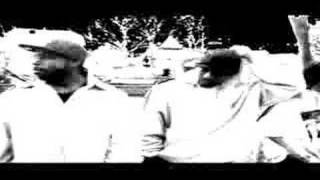 SOLO on "Flow From the Gutta 3"