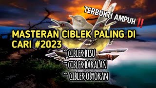 Download lagu masteran suara ciblek pagi hari, bikin ciblek bisu langsung ngebren‼️ mp3 Download lagu masteran suara ciblek pagi hari, bikin ciblek bisu langsung ngebren‼️ mp3