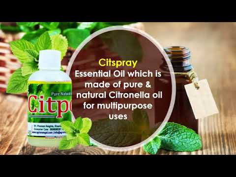 Liquid essential algae oil