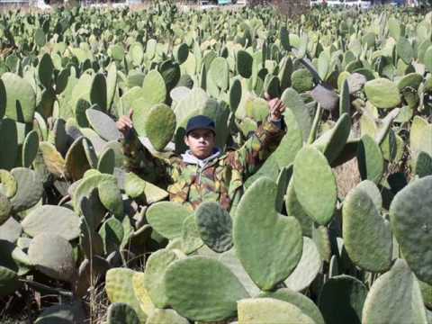 aczino - es ft teyker y el nopalez - rapsoul crew