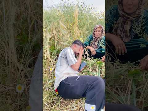 #flowers #fypシ #youtubeshorts #food