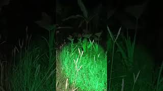Download lagu #misteri #hantu #horror Detik Detik Sosok Genderuwo Wujud❗ mp3