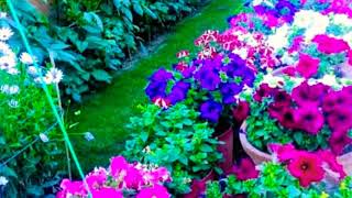 No me Fío 💕 Luis Miguel