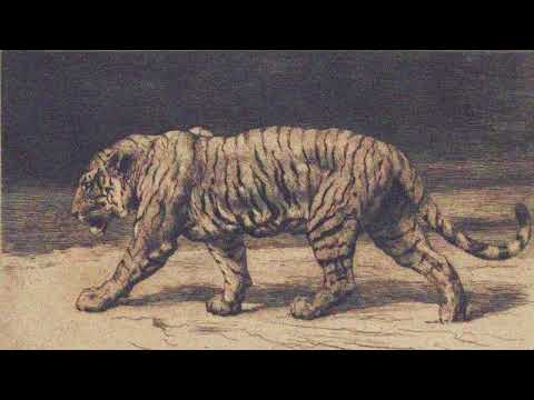 Nick Green , Pele - Gang