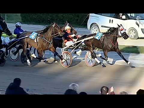 Aversa trotto 2 Febbraio 2022 - 4° Corsa