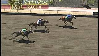 Danger Rallies to finish 2nd Cavonnier Stakes Santa Rosa CA