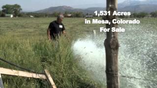 preview picture of video 'Colorado's Mesa Creek Ranch'