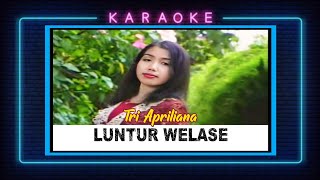 Download lagu Tri Apriliana - Luntur Welase  || Karaoke No Vocal || Kendang Kempul Banyuwangi mp3