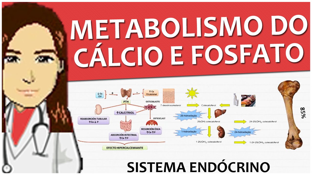 Sistema Endócrino 10 - Regulação do metabolismo do cálcio e fosfato - Vídeo-aula
