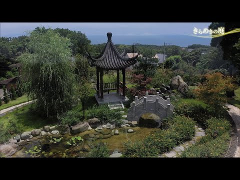 “Flores em casa” Jardim Shizuoka em plena floração Episódio 4 Pensando na linguagem das flores Jardim chinês (cidade de Ito, província de Shizuoka)