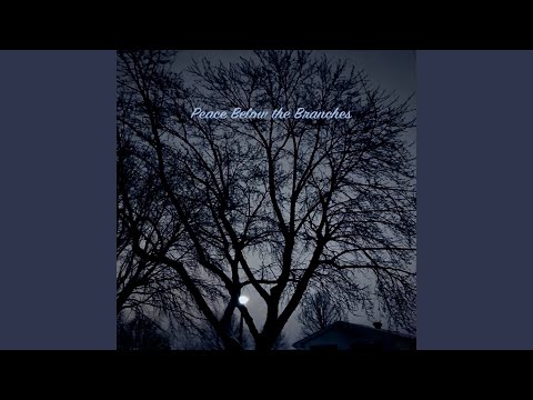 Opus Noctis video thumbnail