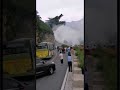 Is It Real Dragon China Dragon