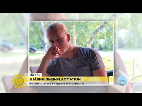 Mathias, 17, dog av hjärnhinneinflammation: ”Läkarna trodde det var influensa” - Nyhetsmorgon (TV4)