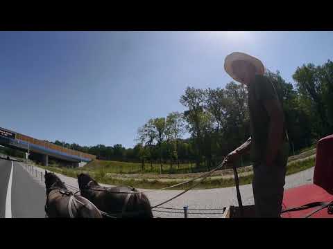 DROGA EKSPRESOWA ZAPRZĘG KONNY