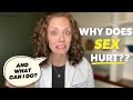 Why Does It HURT When I Have Sex Dr Jennifer Lincoln
