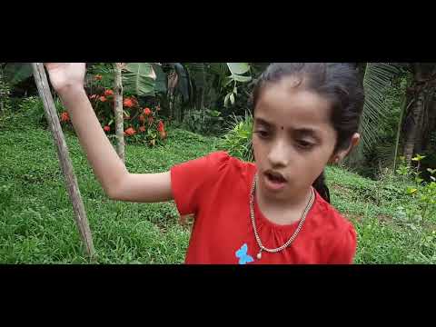 giving a tour of my relatives native place part 2#prajna♥︎