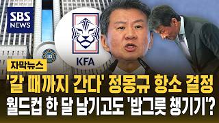 '갈 때까지 간다' 정몽규 항소 결정..월드컵 한 달 남기고도 '밥그릇 챙기기'? (자막뉴스) / SBS