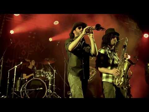 Pastors of Muppets - Live report Rock Oz' Arènes - 11/08/2017