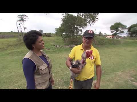 Conheça mais sobre o Índio Gigante de Araçás - BA