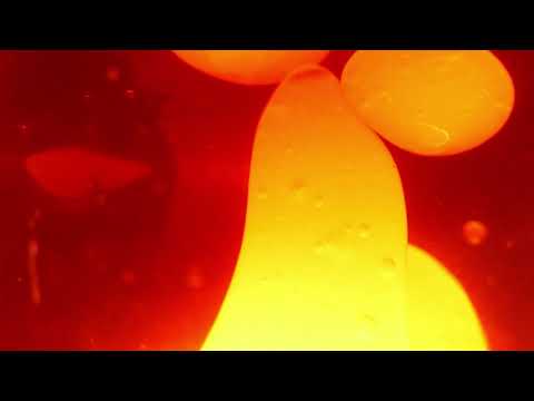 MaF & H.R. - Rap Je Tvoj