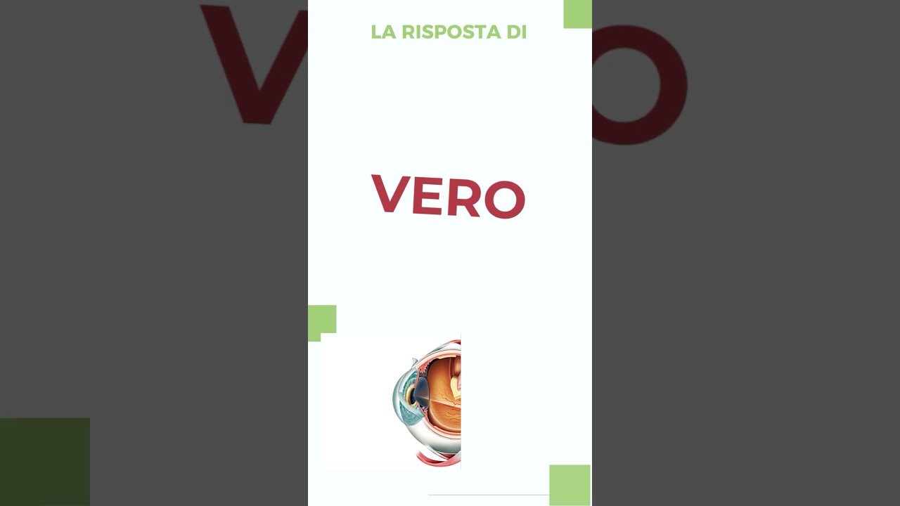 47 - Il fondo dell'occhio è lo "specchio" del cervello=? - My Special Doctor