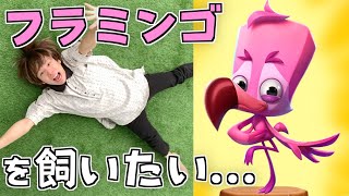 フラミンゴが可愛すぎるんですけど😭💕