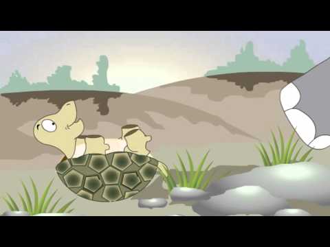 Get Well Soon | Ecards | Wishes | Greeting Cards |...