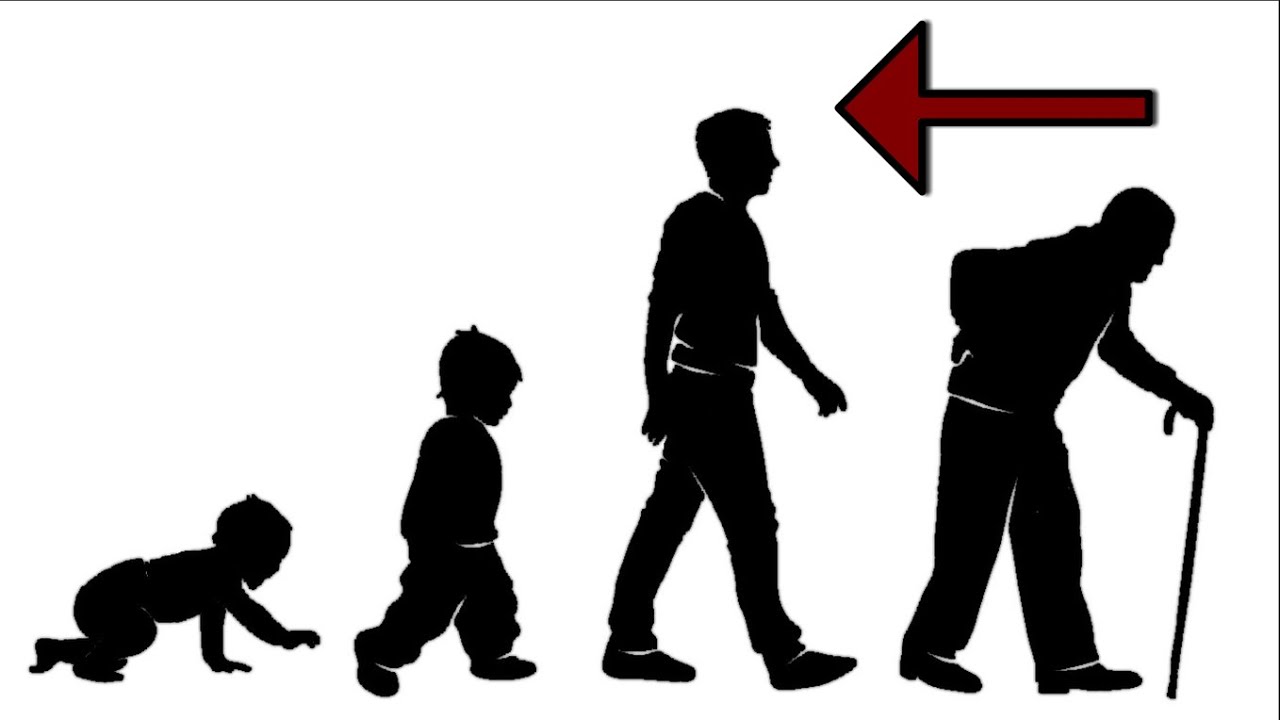 Envejecimiento celular (Y COMO PREVENIRLO)