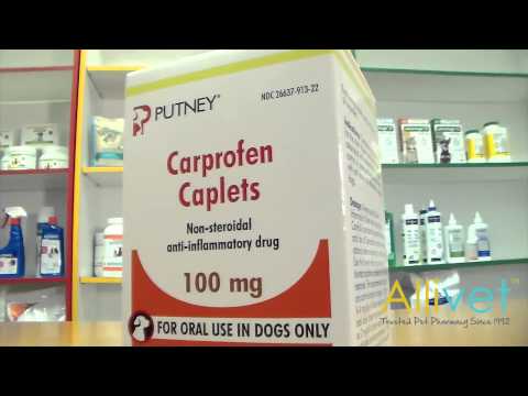 Carprofen caplets for dogs